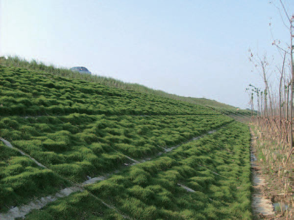 生態(tài)混凝土修復(fù)系列技術(shù)