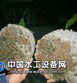 生態(tài)混凝土